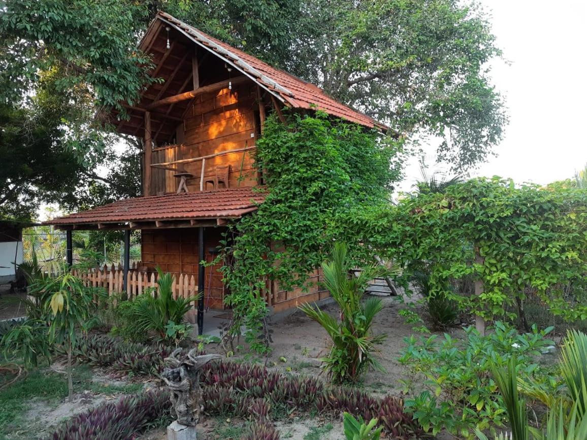 Beach Lagoon Parans Hotel อารูกัมเบย์ ภายนอก รูปภาพ